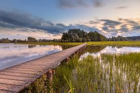 The wetland classification codes are a series of letter and number codes that have been developed to adapt the national wetland classification system to map form. Climate Change Projected To Set Off Substantial Rise In Methane Emissions From Wetlands Eu Science Hub