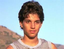 Ralph Macchio as Tim Drake/Red Robin in the Burtonverse Batman series. Yes  or no? : r/Fancast