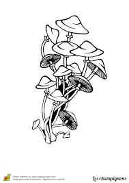 coloriage champignon hypholome variante graffiti designs mushroom art stuffed mushrooms poisson gratuit