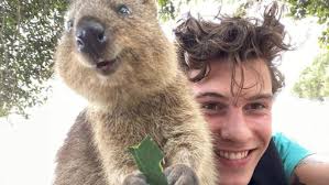 Coronavirus crisis: post-pandemic Perth a drawcard to world's biggest  musical acts, says VenuesWest chief executive officer David Etherton