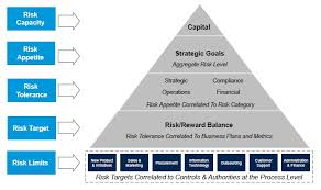Aligning Risk Appetite Part 1 Text Medic