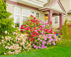 Commercial 3 ornamental and turf. Lawn Garden Care Products Diy Lawn Pest Control Domyown Com