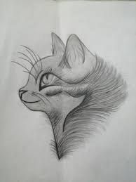 Pin On Brown Blonde Hair