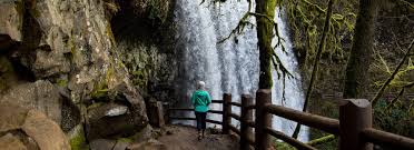 Current conditions, warnings and historical records Silver Falls Tour Route Travel Oregon