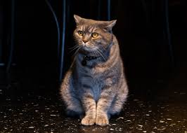 As part of the national marking system, the. Vc Mu3i7zjnv9m