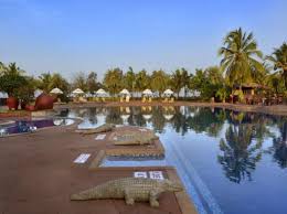 15 Best Resorts In Goa Best Resorts Resort Goa