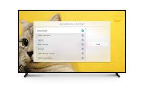 Turning off voice guide using voice command. Tv Accessibility Voice Guide Audio Description Samsung Levant