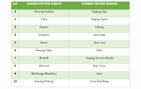 Dan apa saja jabatan fungsional? Apa Yang Dimaksud Dengan Protein Struktural Dan Fungsional Berbagi Struktur