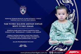 Jkw tunku iskandar abdul jalil abu bakar ibrahim , raja muda. Johorsoutherntigers On Twitter Our Highest Congratulations To Hh Tunku Kalsom Aminah Sofiah Binti Tunku Ismail In Conjunction Of Her Highness Birthday On June 25th 2017 Https T Co 1vcgacfk4r