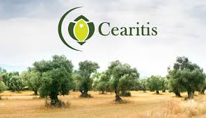 Cearitis La Start Up Qui Protege Les Oliviers Sup Biotech