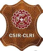 DESIGN DRAFT logo clri
