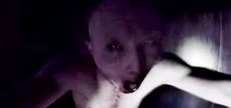 12.10.2021 · it's an accessible entry point into korean filmmaking. Gonjiam Haunted Asylum Review Korean Ghosts Heaven Of Horror