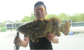 (waze)b114 jalan ulu tamu.batang kali (ah keong)0163277030 Korang Tanya Umpan Jawab Waktu Paling Sesuai Memancing Di Kolam Air Masin Umpan