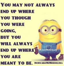  Saturday Minions Funny Quotes 03 34 15 Pm Saturday 14 November 2015 Pst 10 Pics Funny Minions Funny Minion Quotes Minions Funny Funny Quotes