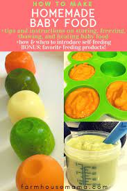 Comment Faire Des Aliments Pour Bebe Maison The Best Of Farmhouse Mama Aliments Babyfeed Baby Food Recipes Homemade Baby Foods Organic Baby Food