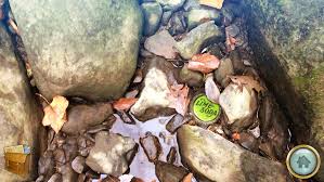 Игры от fire maple games. Fire Maple Games Home Facebook