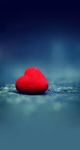 Love Iphone Wallpapers Wallpaper Cave Red, white, and purple digital wallpaper, macbook pro, iphone insect black veined white aporia crataegi large butterfly of the family pieridae lives in most of europe desktop hd wallpapers for mobile phones. love iphone wallpapers wallpaper cave