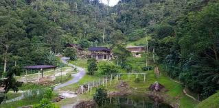 Maybe you would like to learn more about one of these? 5 Amazing Farms To Experience In Bentong