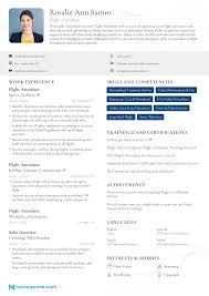 A declaration is a statement that assures that everything written on your resume is true and fully acknowledged by you. Flight Attendant Resume Guide W Exmaples