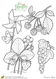 Jardinage Fruits Rouges Page 6 Sur 13 Sur Hugolescargot Com Coloriage Coloriage Fruits Jardinage