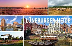 Serie Urlaubsziele Fur Radfahrer In Deutschland Luneburger Heide Niedersachsen Luneburger Heide Heide Heide Park