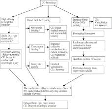 Because signs and symptoms of carbon monoxide poisoning are not specific, a blood test to look for it is the most effective way to make the. Carbon Monoxide Poisoning Emergency Medicine Clinics