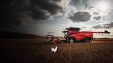 CASE-IH
