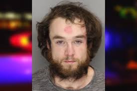 Dylan Lipscomb — Cobb County Jail Bookings