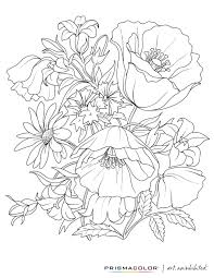 What A Beautiful Flower Adult Coloring Page With Images Coloring Pages Adult Coloring Pages Coloring Books