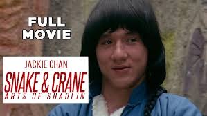 Jackie Chan In NEW FIST OF FURY