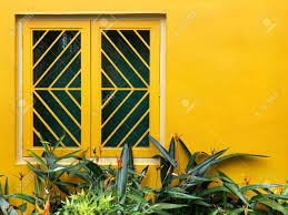 Download and use 10,000+ windows 10 wallpaper stock photos for free. Bright Yellow Wall And Window With Grill And Green Plants Wallpaper Stock Photo Picture And Royalty Free Image Image 125474122