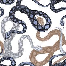 Over 8,993 snake pattern pictures to choose from, with no signup needed. Seamless Pattern With Snake Drawings Ornament For Wallpaper And Fabric Wrapping Paper Background For Different Designs Royalty Free Cliparts Vectors And Stock Illustration Image 150585522