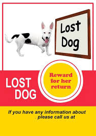 Create a free lost cat poster in an instant. 20 Best Lost Cat Dog Flyer Poster Templates Word Psd