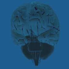 What Is Fetal Alcohol Syndrome And How Does It Affect The Brain