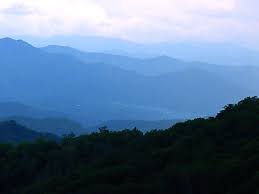 Newsletter of The Tennessee Conference of the American Association of  University Professors December 2020