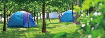 13,359 likes · 353 talking about this · 35,229 were here. è—éµ²æ¸¡å‡èŽŠåœ' Home Facebook