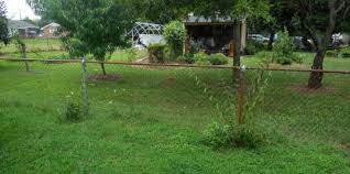 Contact a local nursery or master gardener, taking photos of your property with you. Hiding Chain Link Fences