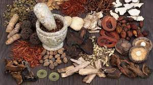 Kalau sudah kenal, kemungkinan besar kamu akan diajak duduk bareng di kantin dan dikenalkan dengan. Konsumsi 4 Tanaman Herbal Ini Untuk Perkuat Imunitas Tubuh Hindari Virus Corona Covid 19 Bola Liputan6 Com