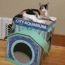 สาย lan cat5, cat5e, cat6 แตกต่างกันอย่างไรบ้างครับ การเข้าหัว? Menqlgkbiebbim