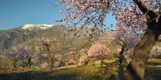 De 2 dorm., 1 apt. Casas Rurales En Castril Granada