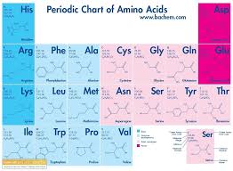 Periodic Table Of Amino Acids Biochemistry Notes