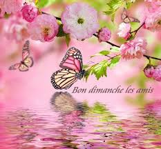 Bonjour Mes Amis Comment Allez Vous Je Vous Souhaites Un Bon Dimanche Qu Il Vous Soit Agreable Fleurs Peinture Maison Bricolage Fleur