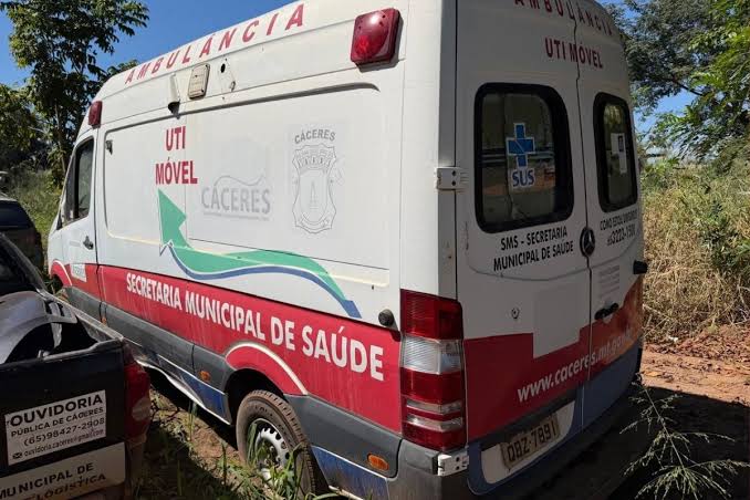 Leil&atilde;o em MT tem ambul&acirc;ncia por R$ 500 e 10 &ocirc;nibus e micro-&ocirc;nibus a partir de R$ 7 mil