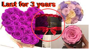 You can do several things to keep cut roses going strong, including adding substances to the water that will help. The Million Roses My First Thoughts Youtube