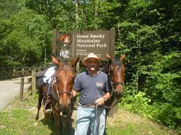 Orchard Cove Horse Camp Townsend Tn Great Smoky Mountains Horse Camp Horse Vacation Great Smoky Mountains