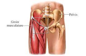 Apply ice to the area. The 5 Most Common Kicking Injuries 2 Groin