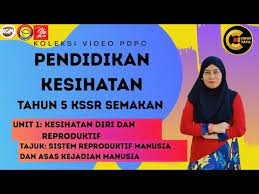 Jalan colombo no 1, karangmalang yogyakarta 55281, indonesia. Pendidikan Kesihatan Tahun 5 L Unit 11 L Kesihatan Diri Reproduktif Sistem Reproduktif Manusia Youtube