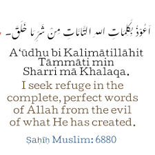 Dua To Recited Every Evening Islamic Quotes Muslim Tumblr Perfect Word