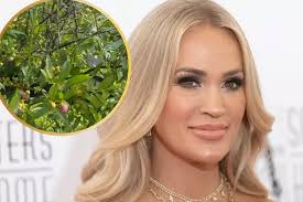Carrie Underwood Met the Devil in Her Garden -- Sort Of