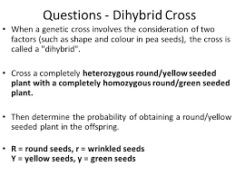 Dihybrid crosses involve manipulation and analysis of two traits. Genetic Inheritance Problems Exercise 9 Ppt Video Online Download